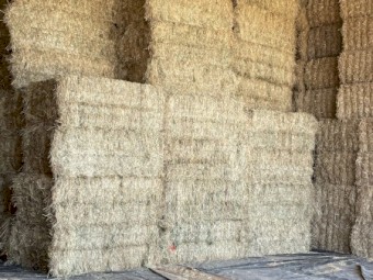 Pasture Hay 8x4x3 Bales