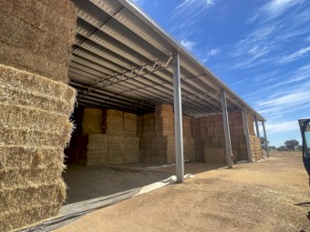 Pasture Hay 8x4x3 Bales