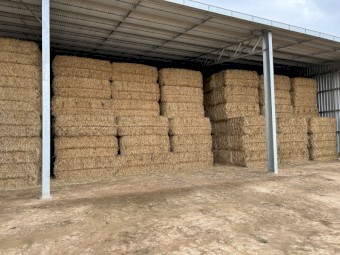 320mt Oaten Hay 650kg 8x4x3 Bales