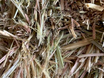 320mt Oaten Hay 650kg 8x4x3 Bales