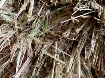 320mt Oaten Hay 650kg 8x4x3 Bales