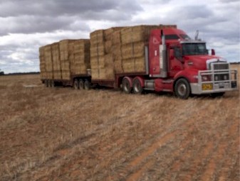 300mt Wheaten Straw 500kg 8x4x3 Bales