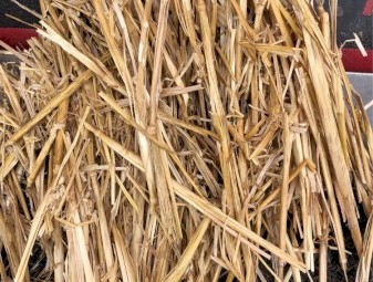 300mt Wheaten Straw 500kg 8x4x3 Bales