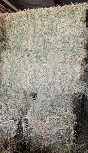 Lucerne little squares bales 