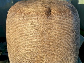 Ryegrass Silage Rolls