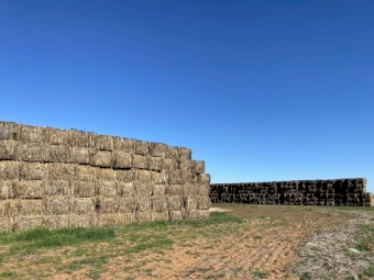 Oaten Hay