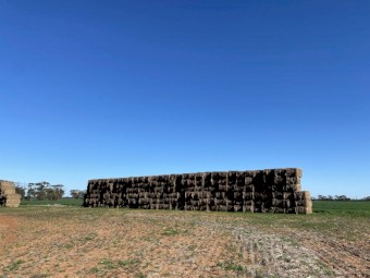 Oaten Hay