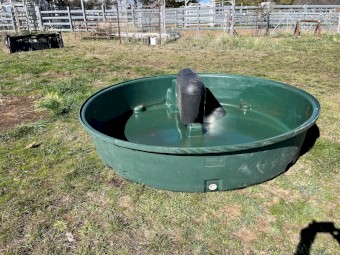 Rapid Plas Water Trough