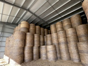 Oaten Hay Rolls
