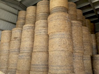 Oaten Hay Rolls