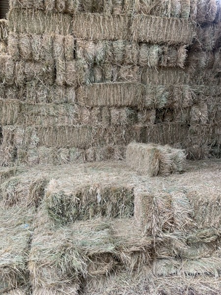 small square hay bales