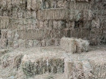 small square hay bales