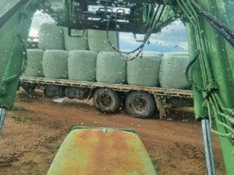 Silage 1st cut Lucerne 