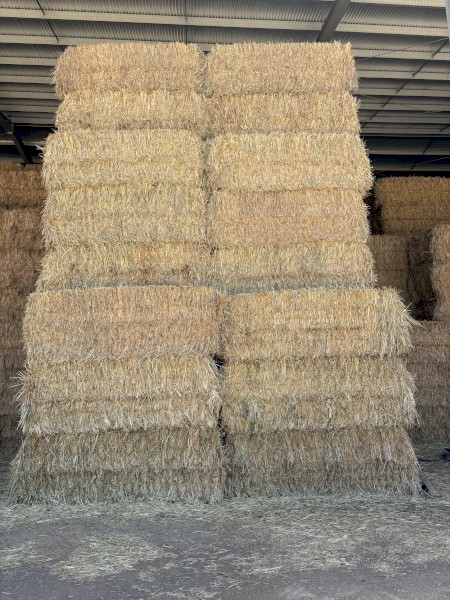 200mt Oaten Hay 8x4x3 Bales