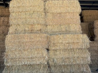200mt Oaten Hay 8x4x3 Bales