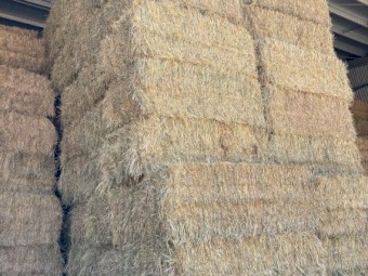 200mt Oaten Hay 8x4x3 Bales