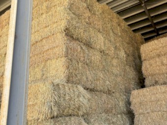 200mt Oaten Hay 8x4x3 Bales