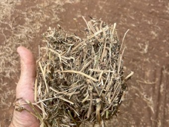 200mt Vetch Hay 600kg 8x4x3 Bales (New Season 24/25)