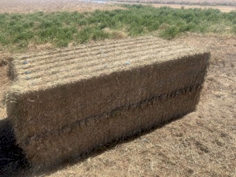 250mt Vetch Hay 8x4x3 Bales (New Season 22/23)