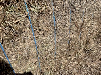 250mt Vetch Hay 8x4x3 Bales (New Season 22/23)