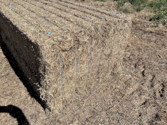 250mt Vetch Hay 8x4x3 Bales (New Season 22/23)