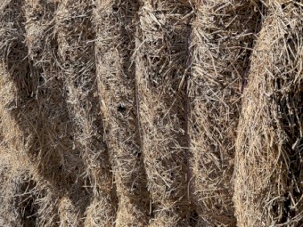 Lucerne/Rygrass hay