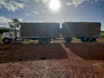 Endura Rhodes feed Hay