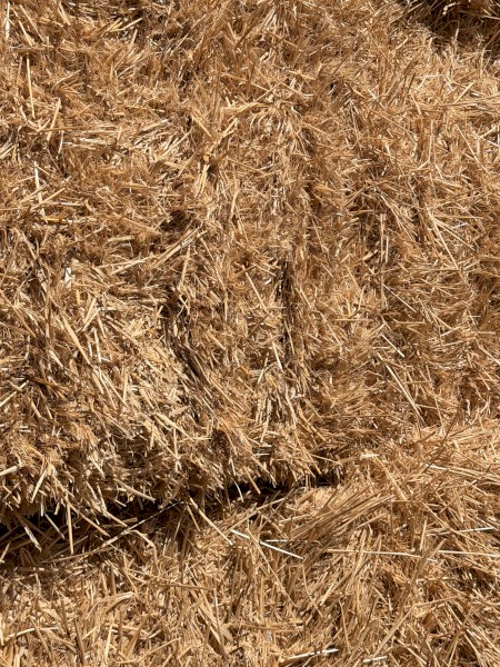 1000mt Barley Straw 8x4x3 Bales