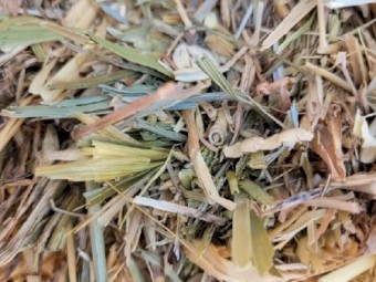 Wheaten Hay 8x4x3 Bales