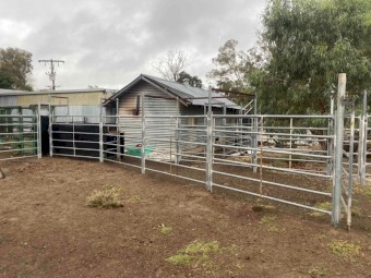 Cattle yards