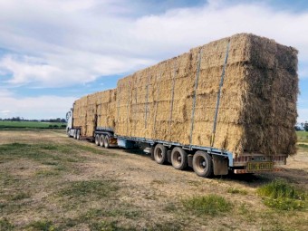 Wheaten Straw (Make an Offer)