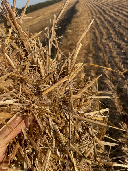 Oat Tailings 600kg bale weight