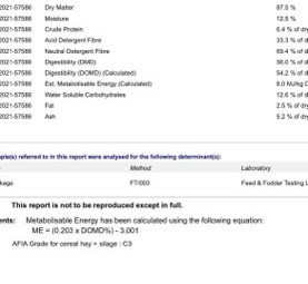 Oaten Hay Rolls New season