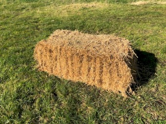 Lucerne Hay bales for sale