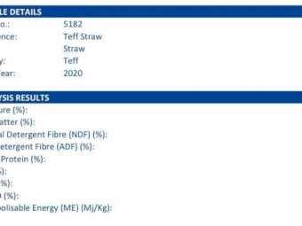 160 x Teff Straw 480kg 8x4x3 Bales