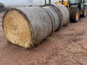 Oaten Hay Rolls New season