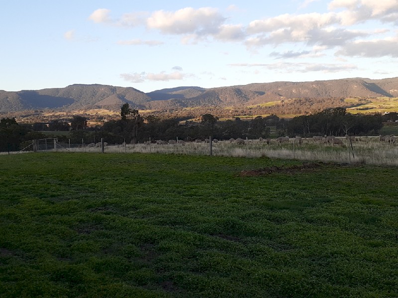 WANTED Lease Acreage