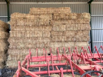 2000 x Rye Grass Small Square Bales