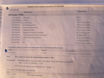 Vetch Hay - 168 rolls