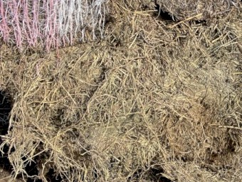 Vetch Hay - 168 rolls