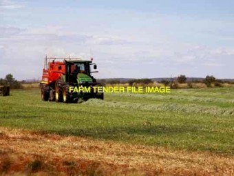 New Season Shedded Oaten Hay For Sale In 8x4x3 Bales