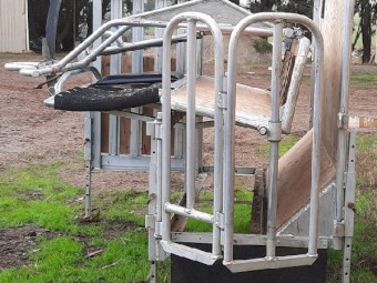 Prattley Sheep Handler