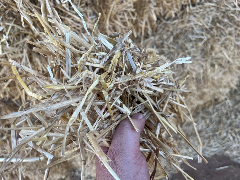 Barley Straw Header Tailings