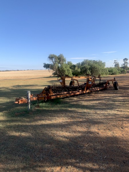 Phoenix Prickle Chain