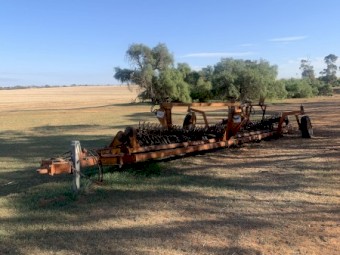 Phoenix Prickle Chain