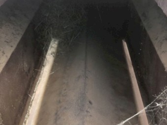 Limit Grain Sheep Feeder need gone by 1st March