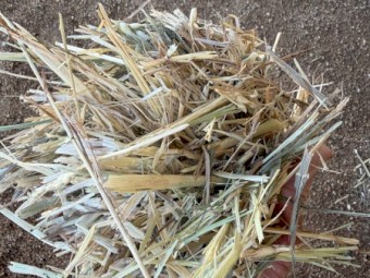 100mt Wheaten Hay 8*4*3