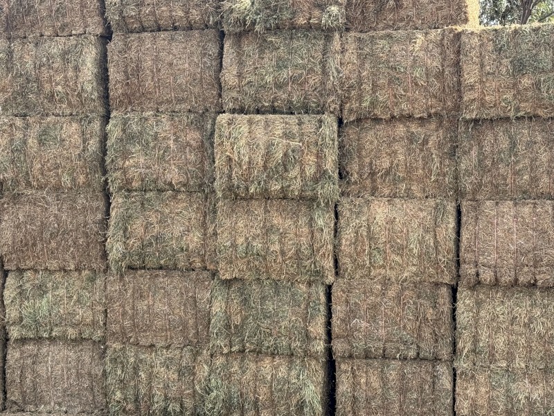 60mt Vetch Hay 650kg 8x4x3 Bales