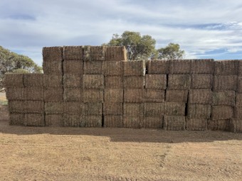 60mt Vetch Hay 650kg 8x4x3 Bales