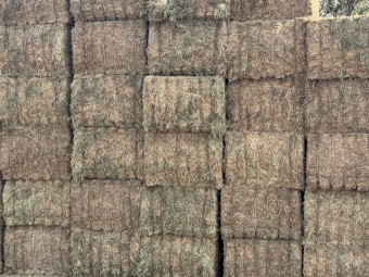 60mt Vetch Hay 650kg 8x4x3 Bales